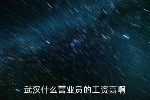 武漢什么營(yíng)業(yè)員的工資高啊