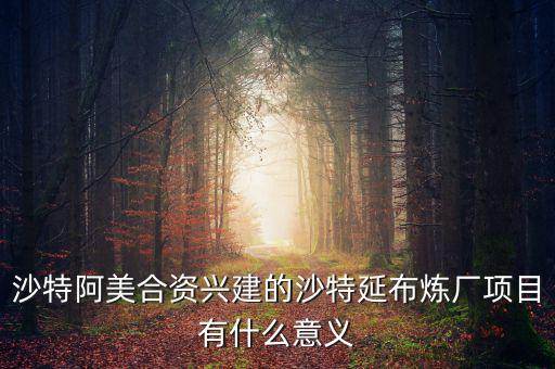 中沙延布煉廠項目是什么，中國石化首個海外煉化項目中沙特延布煉廠項目投資多少錢