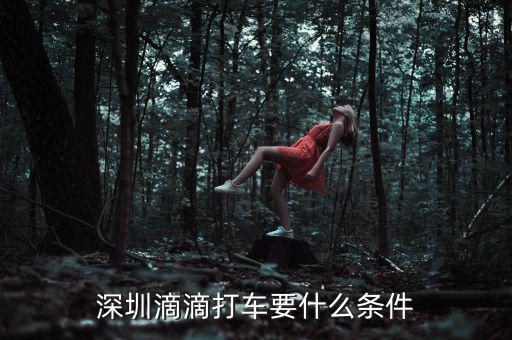 深圳交通滴滴有什么政策，申請(qǐng)深圳滴滴對(duì)司機(jī)有些什么要求嗎