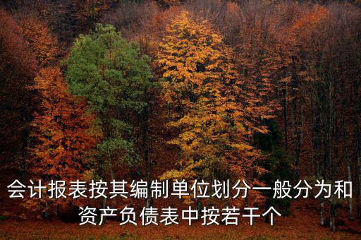 會計報表按其編制單位劃分一般分為和資產(chǎn)負債表中按若干個