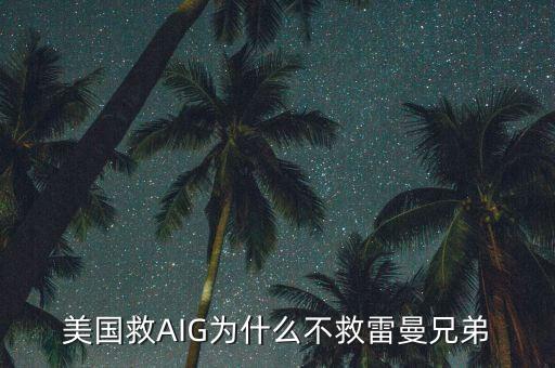 美國救AIG為什么不救雷曼兄弟