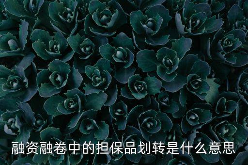 什么是劃轉(zhuǎn)，劃撥轉(zhuǎn)賬是什么意思