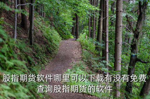 股指期貨軟件哪里可以下載有沒有免費(fèi)查詢股指期貨的軟件