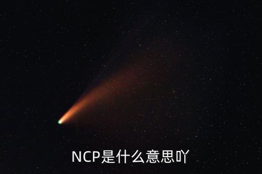可比企業(yè)ncp是什么簡(jiǎn)稱，NCP是什么意思吖