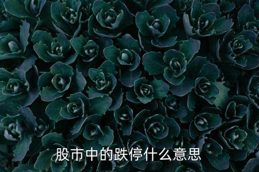 跌停是什么意思，跌停是什么意思