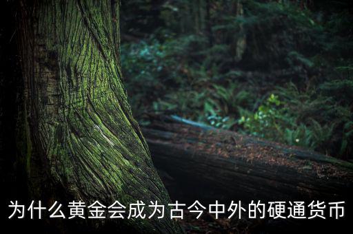 黃金為什么成為，黃金是由什么物質(zhì)變成