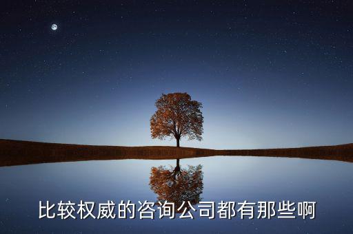 艾瑞和易觀是什么公司，易觀國際有幾個(gè)子公司