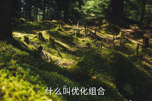 優(yōu)化重組是什么書，什么叫優(yōu)化組合