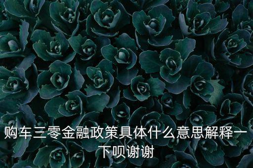 購(gòu)車三零金融政策具體什么意思解釋一下唄謝謝