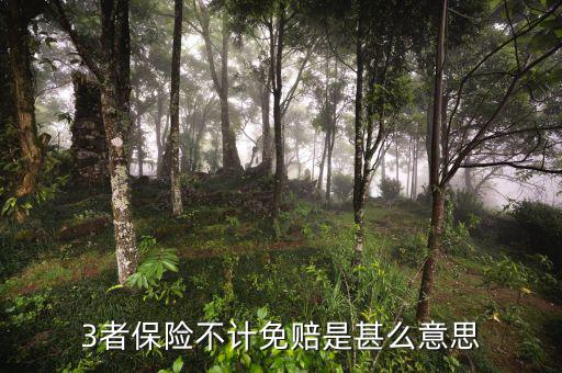 3者保險不計免賠是甚么意思