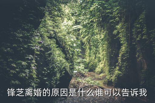 胡芝容為什么離婚，鋒芝戀離婚原因是為什么