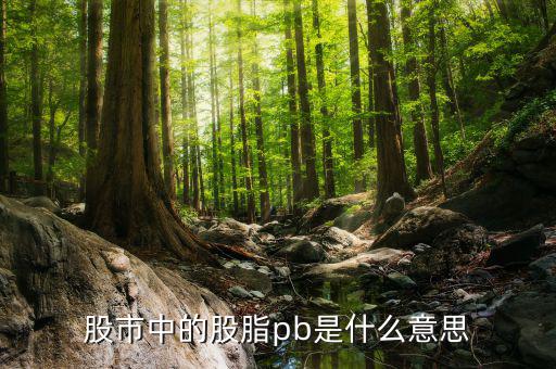 股票中pb是什么意思，股市中的股脂pb是什么意思