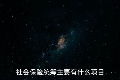 社會(huì)保險(xiǎn)統(tǒng)籌主要有什么項(xiàng)目