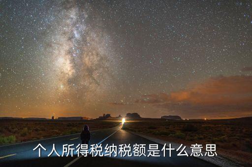 個人所得稅納稅額是什么意思