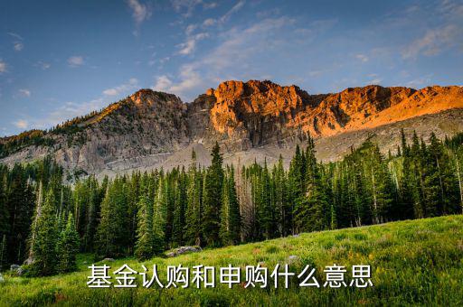 基金認申購什么意思，基金中的認購是什么意思