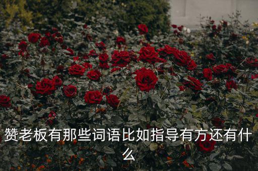 什么成語能夠形容房地產(chǎn)老板，贊老板有那些詞語比如指導(dǎo)有方還有什么