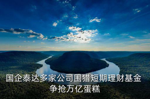 國(guó)企泰達(dá)多家公司圍獵短期理財(cái)基金 爭(zhēng)搶萬(wàn)億蛋糕