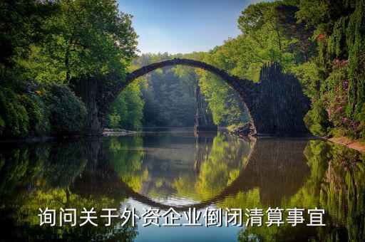 沈陽(yáng)投資公司跑路市政府什么解決，詢問關(guān)于外資企業(yè)倒閉清算事宜