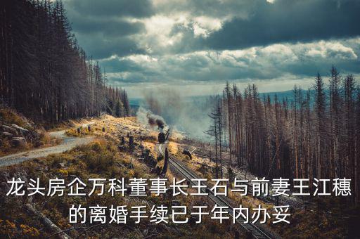 王石什么時候離婚的，龍頭房企萬科董事長王石與前妻王江穗的離婚手續(xù)已于年內辦妥
