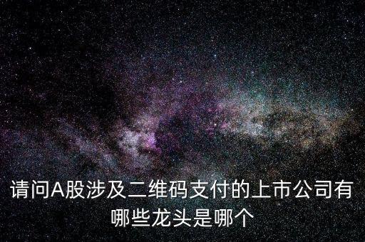 請(qǐng)問(wèn)A股涉及二維碼支付的上市公司有哪些龍頭是哪個(gè)