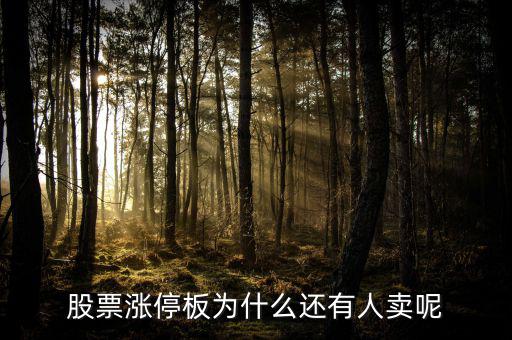 為什么已經(jīng)漲停的股票那么多人買，當(dāng)天漲停的股票為什么還有那么多人買入跟進(jìn)呢