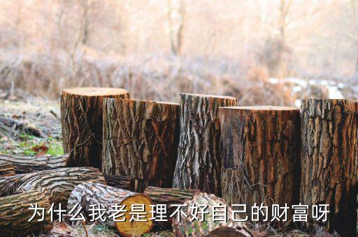 財富為什么不好說說理由，我?guī)蛣e人回答問題為什么說財富不足