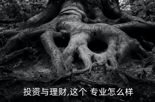 投資專業(yè)怎么樣,投資大學(xué)專業(yè)對畢業(yè)生需求大