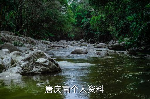 唐慶南為什么被逮捕，唐慶南被判刑