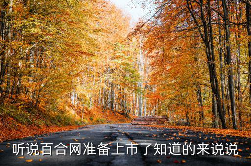 聽(tīng)說(shuō)百合網(wǎng)準(zhǔn)備上市了知道的來(lái)說(shuō)說(shuō)