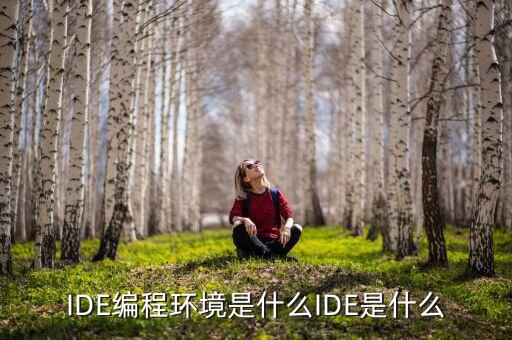 tltro是什么，虛擬內(nèi)存是什么玩意