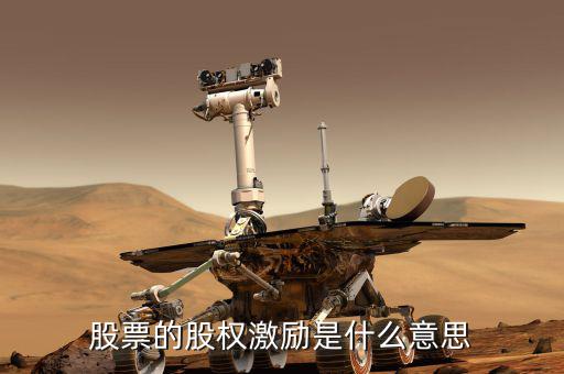 股權(quán)激勵(lì)是什么意思，股權(quán)激勵(lì)是何意