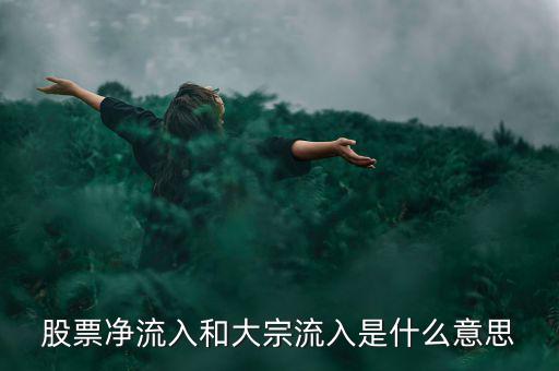 股票大宗流入是什么意思，股票凈流入額大宗流入什么意思