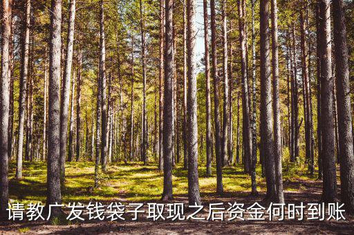 廣發(fā)錢袋子墊資什么時(shí)候，廣發(fā)錢袋子前天周末為什么沒有收益今天周一收益還沒出來
