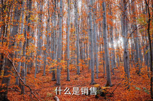 什么是半銷售類，銷售經(jīng)理半年工作總結(jié) PPT