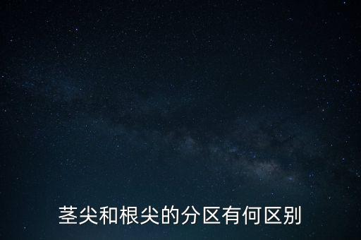 外高橋分區(qū)指按部屬于什么級別，上海市外高橋保稅區(qū)是屬于什么區(qū)