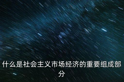什么是社會(huì)主義市場經(jīng)濟(jì)的重要組成部分