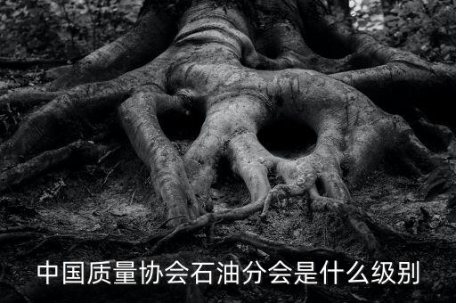 中國質(zhì)量協(xié)會(huì)石油分會(huì)是什么級(jí)別