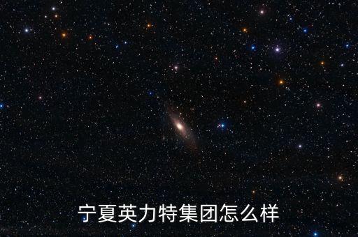 寧夏英力特集團(tuán)怎么樣