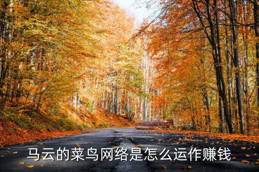 馬云的菜鳥網(wǎng)絡(luò)是怎么運(yùn)作賺錢