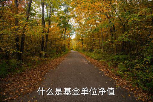 基金中什么是單位凈值，什么是基金單位凈值