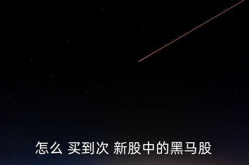 怎么 買到次 新股中的黑馬股