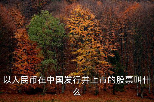 以人民幣在中國(guó)發(fā)行并上市的股票叫什么