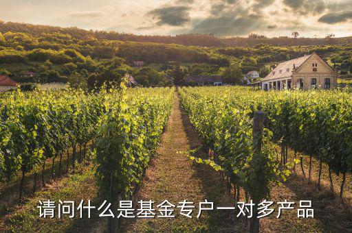 一對多專戶是什么意思，請問什么是基金專戶一對多產(chǎn)品