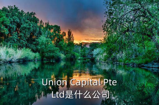 Union Capital Pte Ltd是什么公司