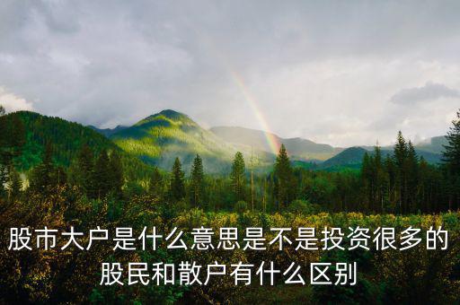 炒股大戶是什么意思，股票中的大戶是什么意思