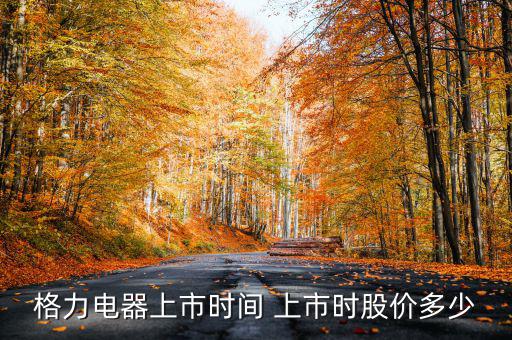格力電器上市時(shí)間 上市時(shí)股價(jià)多少