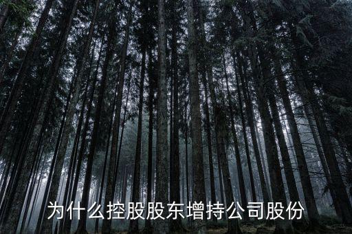 為什么控股股東增持公司股份