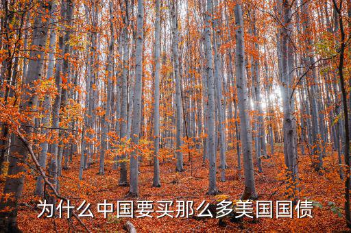 為什么要買美國國債，為什么要買那么多美國國債