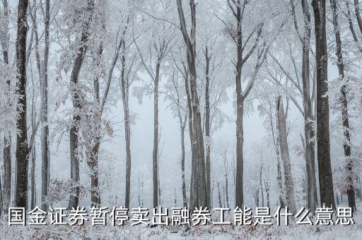 暫停融券是什么意思，國(guó)金證券暫停賣(mài)出融券工能是什么意思