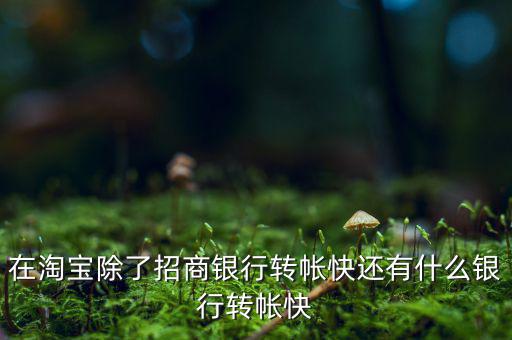 什么銀行網(wǎng)上轉(zhuǎn)賬最慢，在淘寶除了招商銀行轉(zhuǎn)帳快還有什么銀行轉(zhuǎn)帳快